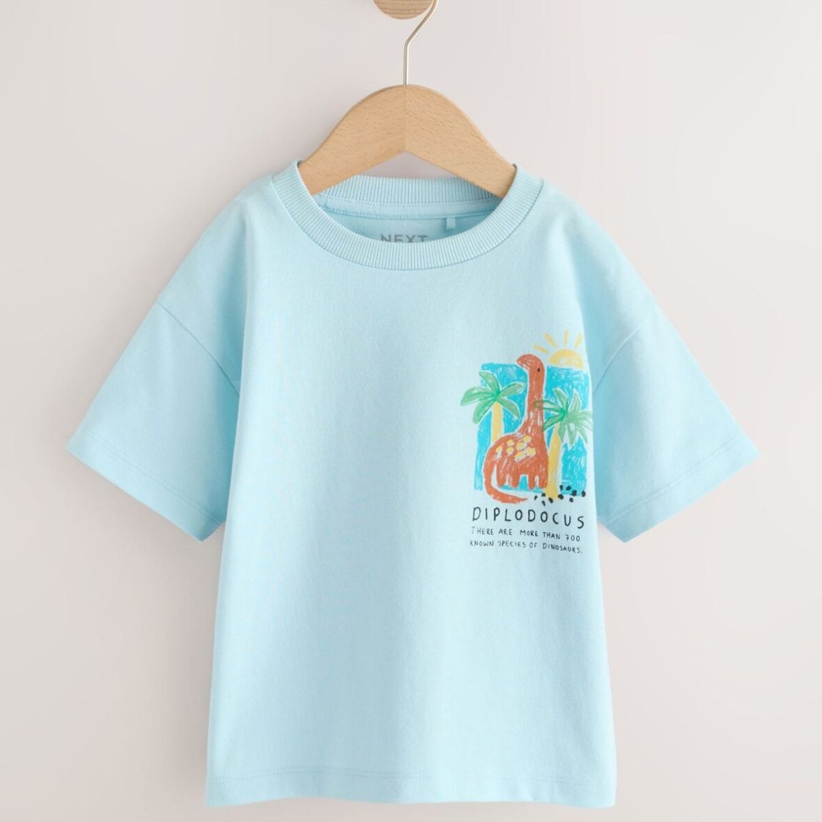 Blue Dinosaur Short Sleeve Back Print T-Shirt (3mths-7yrs)