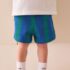 Blue/Green Stripe Textured Shorts 3