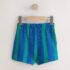 Blue/Green Stripe Textured Shorts 4