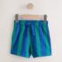 Blue/Green Stripe Textured Shorts 1