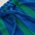 Blue/Green Stripe Textured Shorts 2