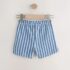Blue Navy Stripe Textured Shorts 1