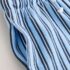 Blue Navy Stripe Textured Shorts 3