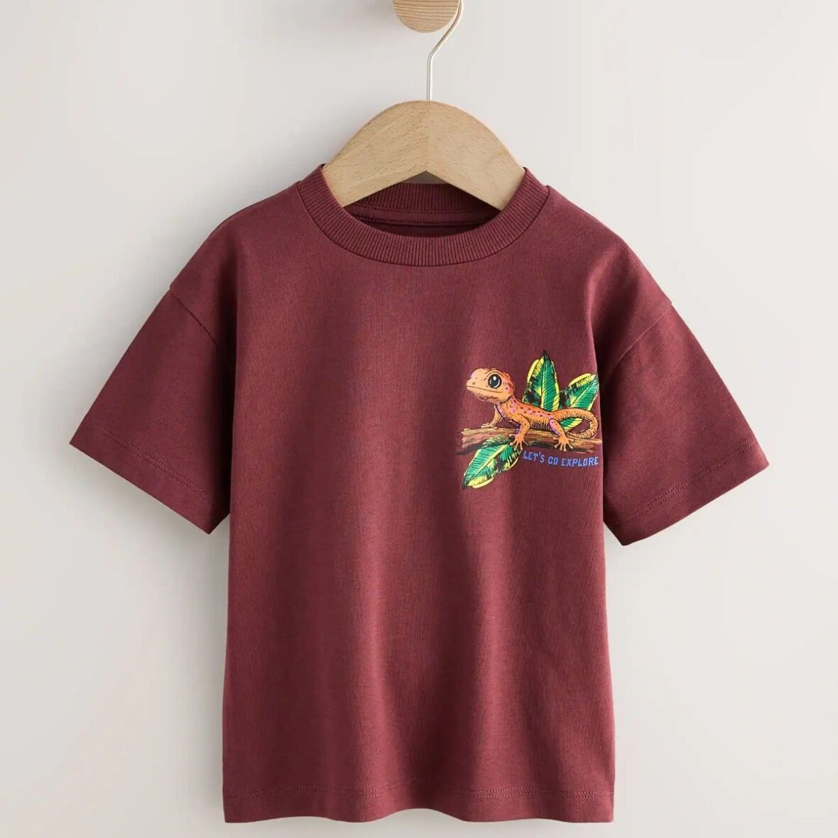 Burgundy Red Gecko Short Sleeve Back Print T-Shirt (3mths-7yrs)