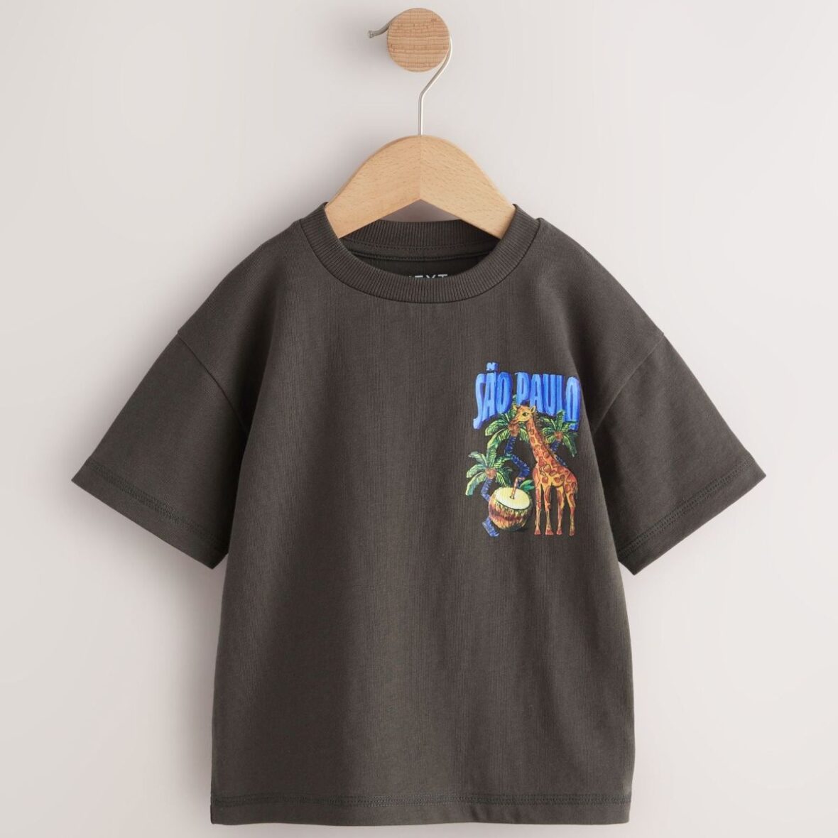 Charcoal Grey Sao Paulo Short Sleeve Back Print T-Shirt (3mths-7yrs)
