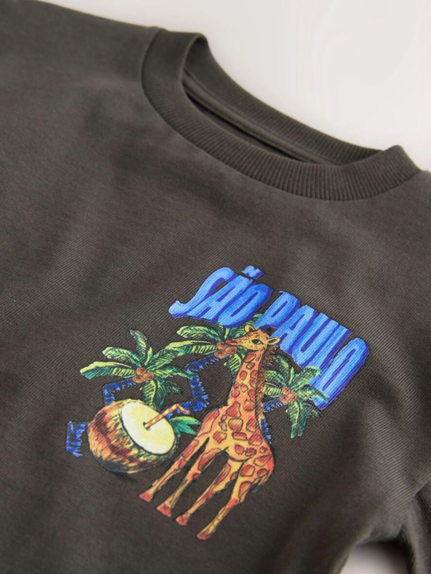 Charcoal Grey Sao Paulo Short Sleeve Back Print T-Shirt 4