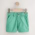 Green Chino Shorts 1