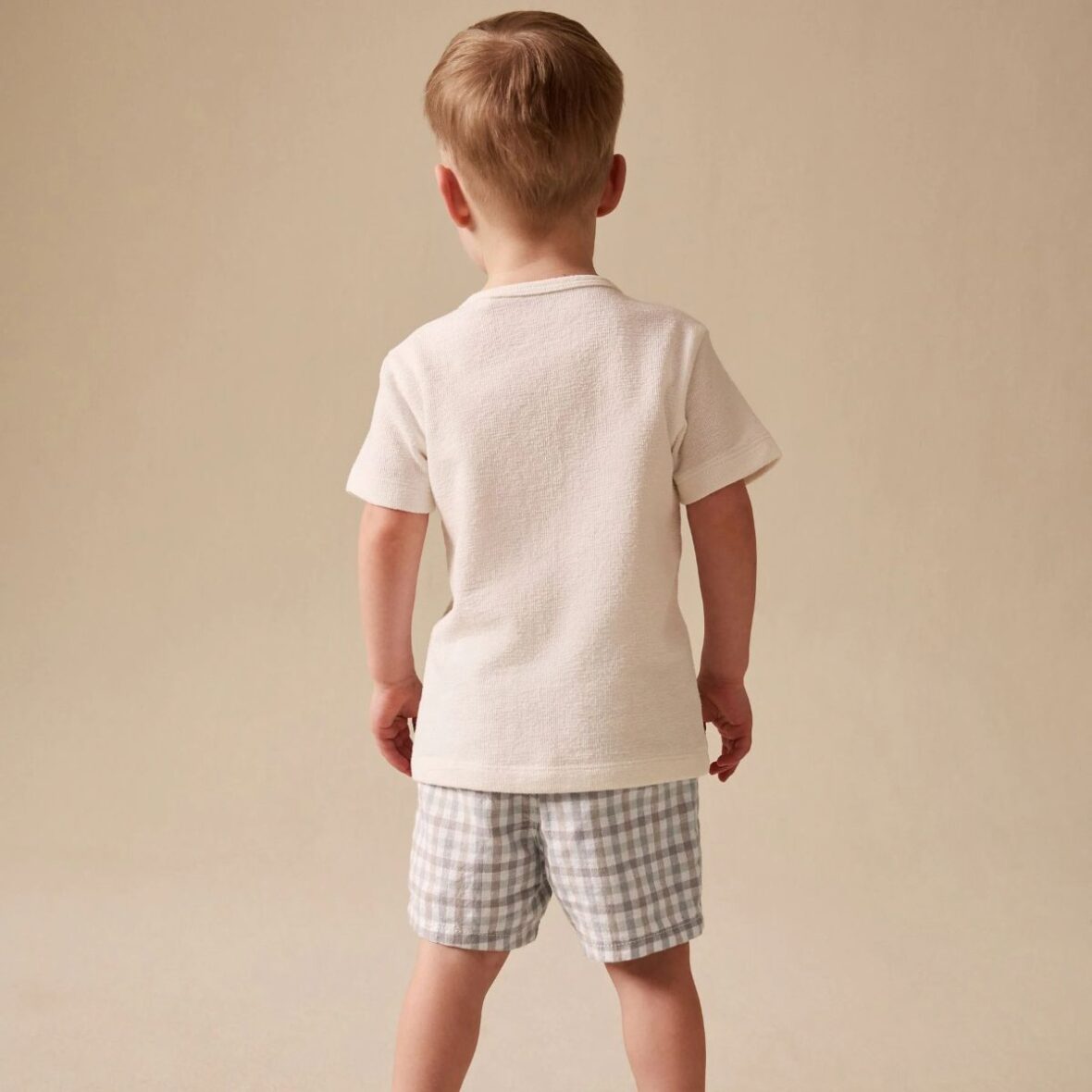 Pastel Gingham Linen Blend Chino Shorts 3