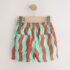 Red/Green Wavy Stripe Pull On Shorts 2