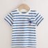 White/Blue Stripe Seagull Short Sleeve 3D Padded T-Shirt 1
