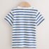 White/Blue Stripe Seagull Short Sleeve 3D Padded T-Shirt 2