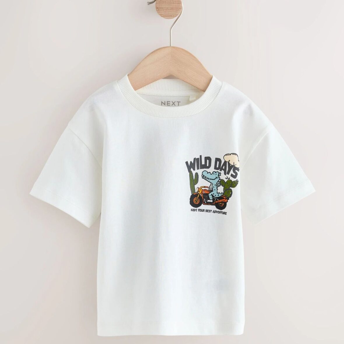 White Dinosaur Oversized Short Sleeve Back Print T-Shirt (3mths-7yrs)