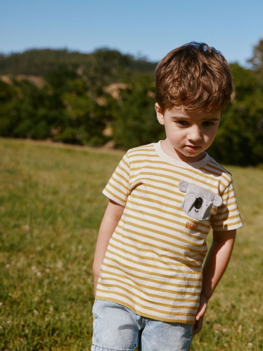 Yellow Stripe Koala Bear Short Sleeve Interactive T-Shirt 1