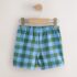 Blue/Green Gingham Linen Blend Pull On Shorts 3