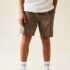 Brown Regular Fit Shorts 4