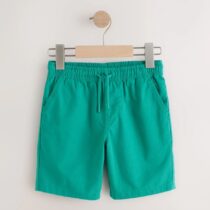 Green Regular Fit Shorts 1