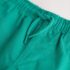 Green Regular Fit Shorts 3