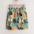 Multi Postcard Print Pull On Bermuda Shorts 4