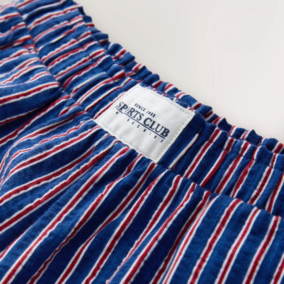 Navy Red Stripe Textured Shorts 4