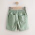 Sage Green Regular Fit Shorts 1